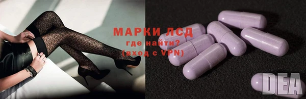 PSILOCYBIN Абаза