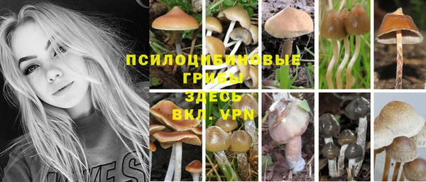 ПСИЛОЦИБИНОВЫЕ ГРИБЫ Абинск