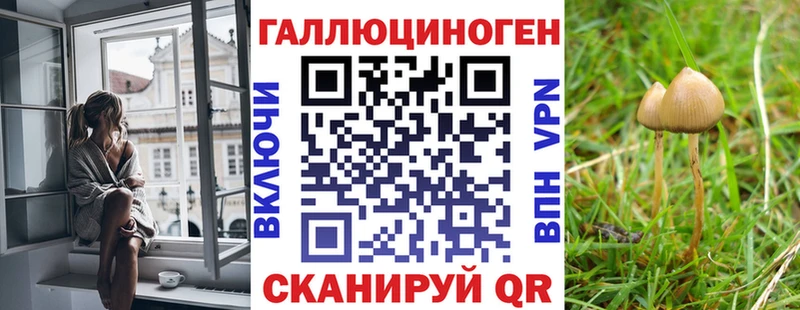 Псилоцибиновые грибы Magic Shrooms  Электросталь 