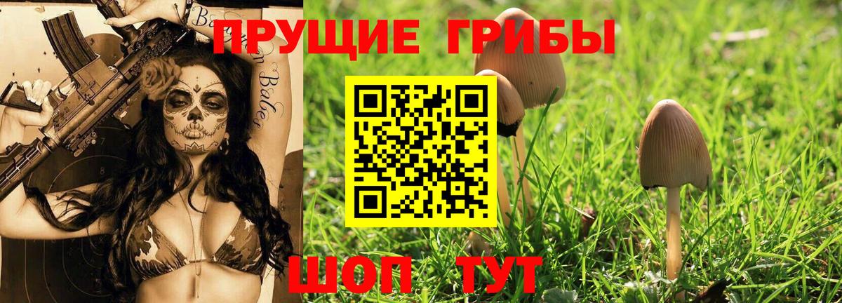 Электросталь  Псилоцибиновые грибы Magic Shrooms  Вход с VPN 